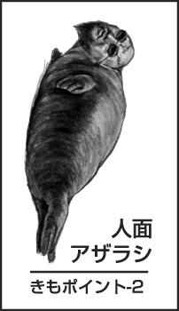 �����ƁA�ǂ��]���ƁH